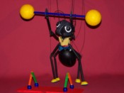 Big Bug Circus
